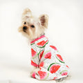 Watermelon red four-leg dog jumpsuit with watermelon print, polyester pet clothing in sizes XS to 2XL