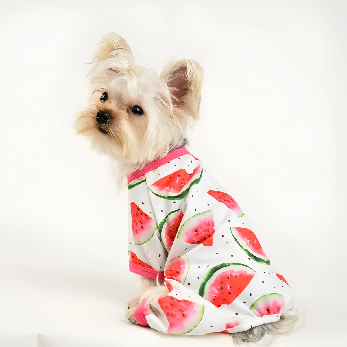 Watermelon red four-leg dog jumpsuit with watermelon print, polyester pet clothing in sizes XS to 2XL