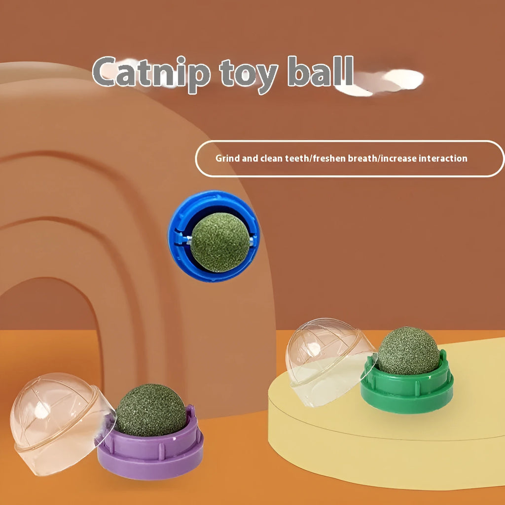 Colourful plastic catnip ball toy for molar teeth cleaning and bite-resistant play.