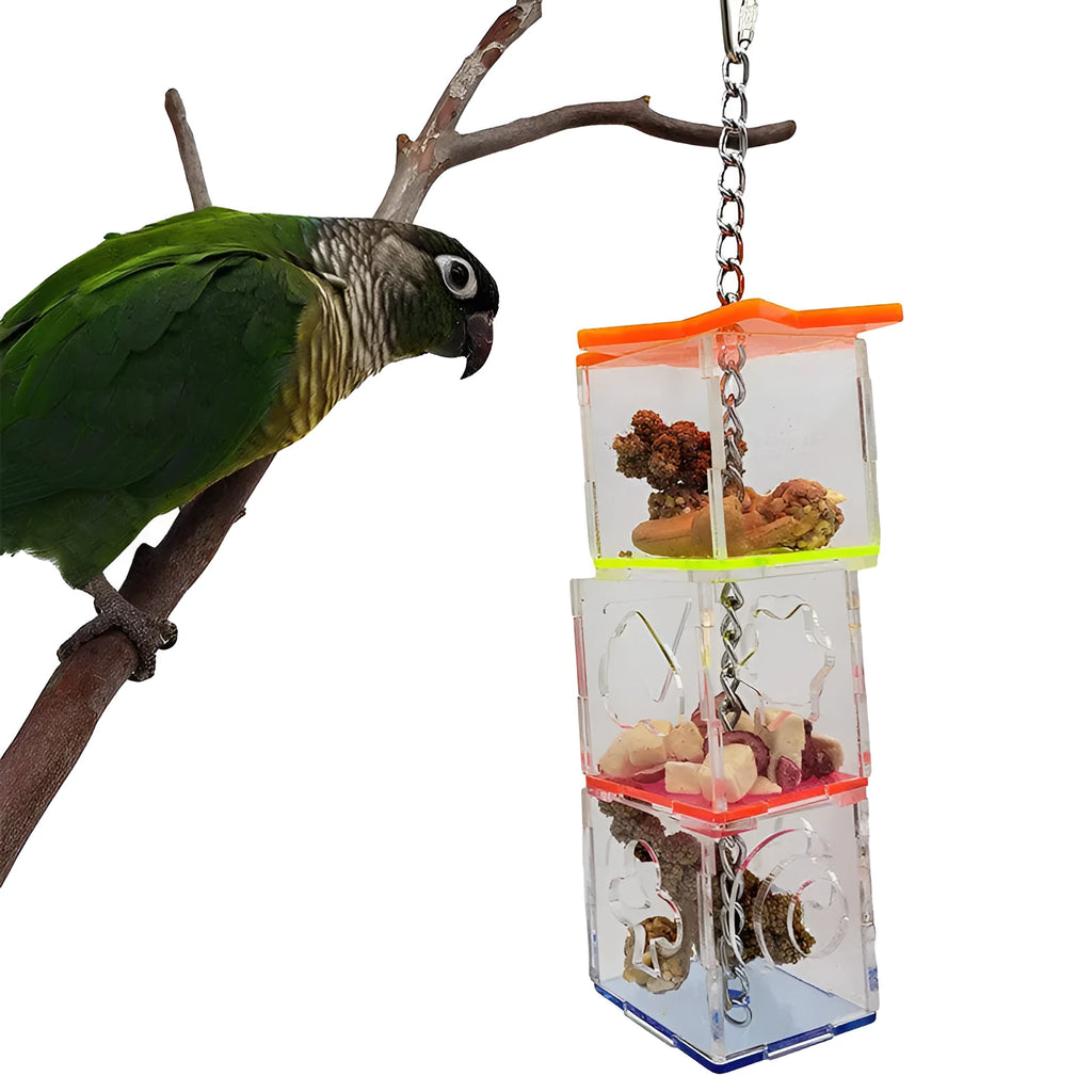 Clear acrylic parrot foraging toy with treats visible inside, 32 cm long bird enrichment device