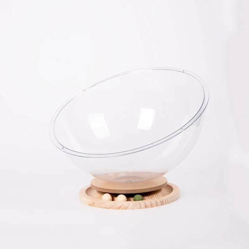Transparent acrylic cat space capsule bathtub bed with wood board base