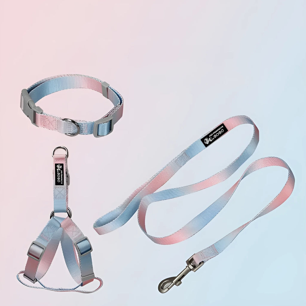 Gradient colour nylon dog leash and matching adjustable collar set for small medium dogs.