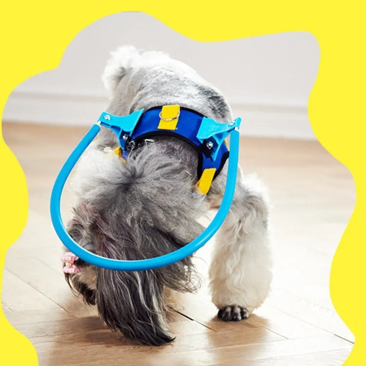 Blue adjustable anti-collision ring for visually impaired dogs, shown in various sizes