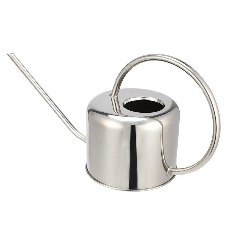 Stainless steel watering can with long spout, shown in 2-litre capacity for garden use.
