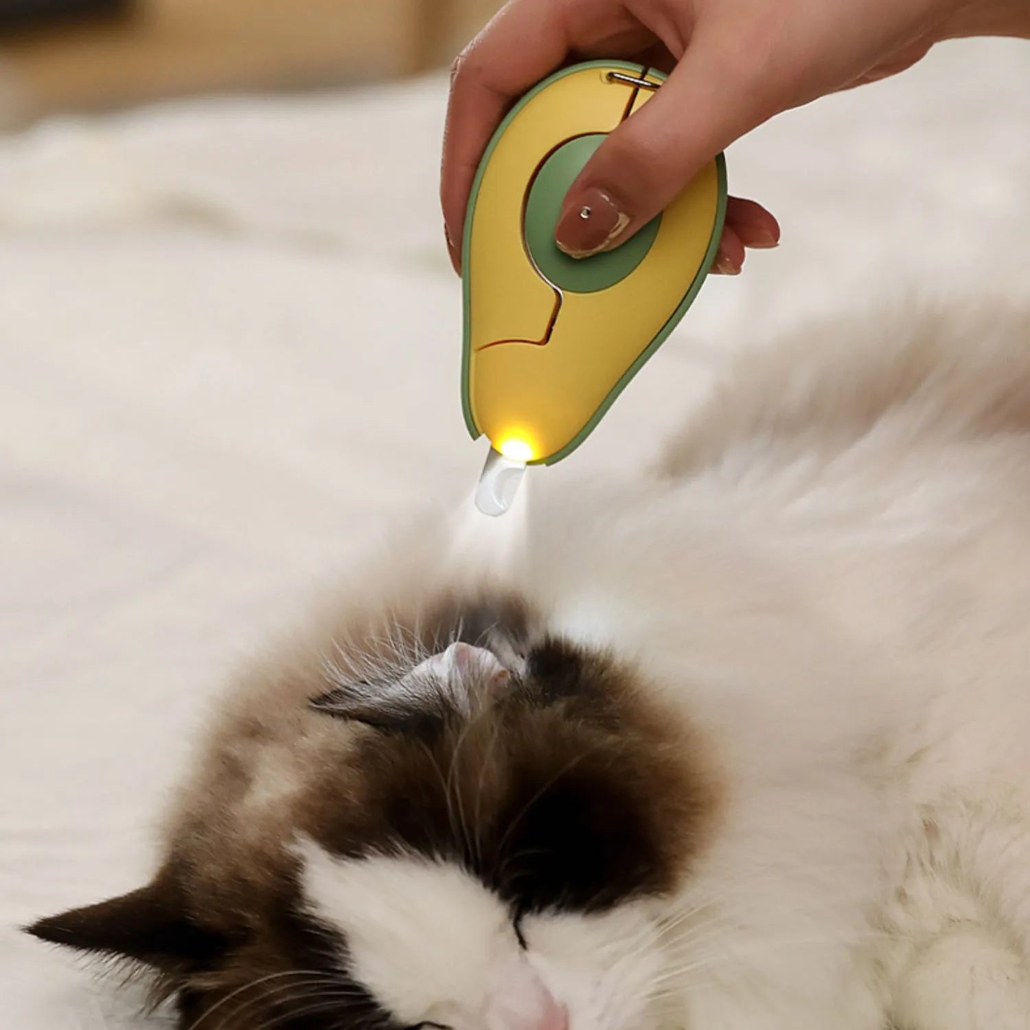 Professional LED pet nail clipper for small dogs and cats in green, pink, or white colours.