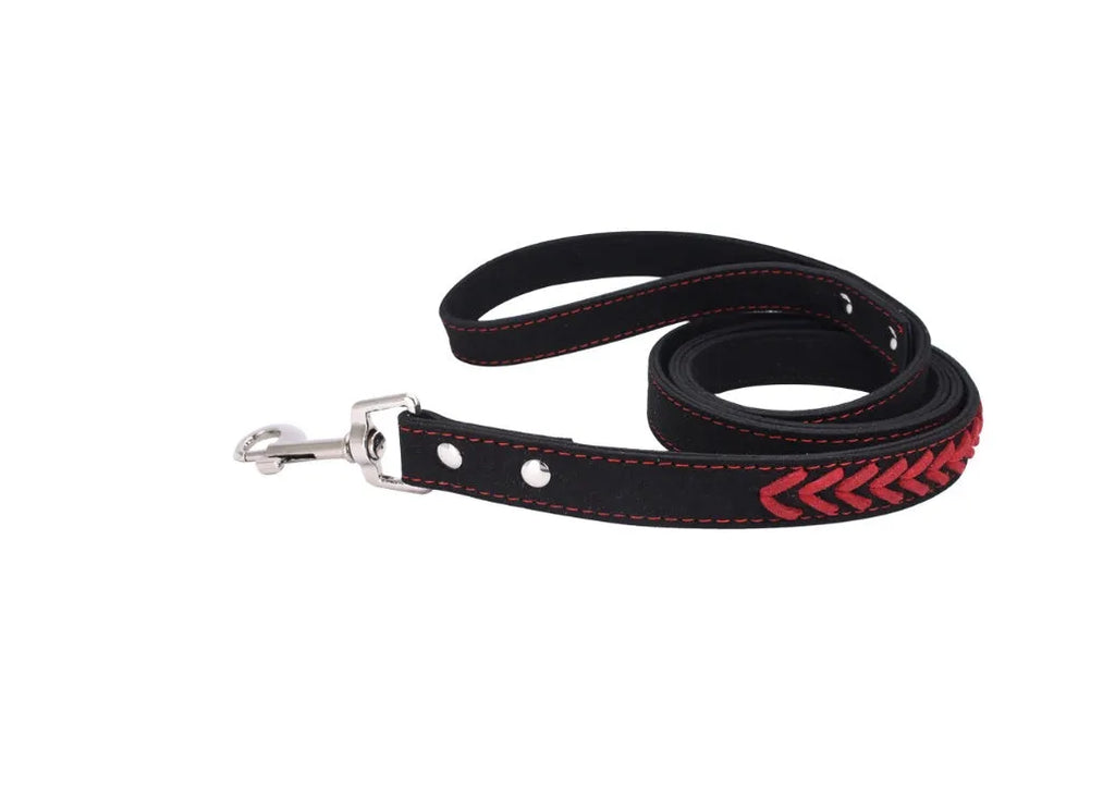 Stainless steel iron dog collar with laser lettering on genuine leather strap, available in blue, pink, purple, red and yellow