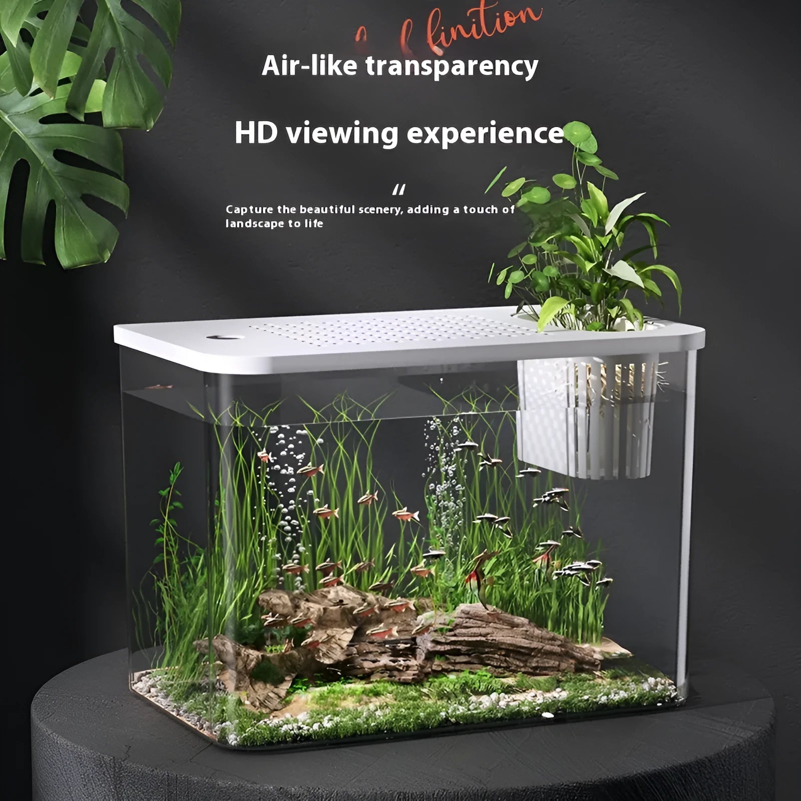 Black and white mini plastic betta fish tanks with clear covers, showing dimensions of 32cm by 18.5cm.