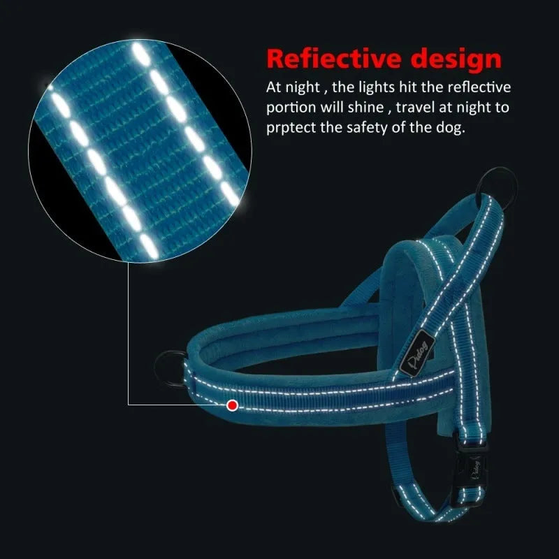 No pull dog harness: leather with padded strap, colour options Black, Blue, Pink, sizes L to XXS