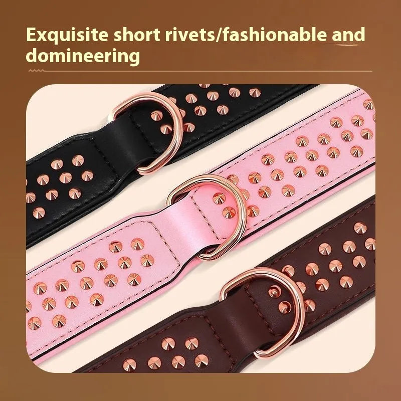 Leather dog collar with metal rivets and buckle in chocolate colour on a white background.
