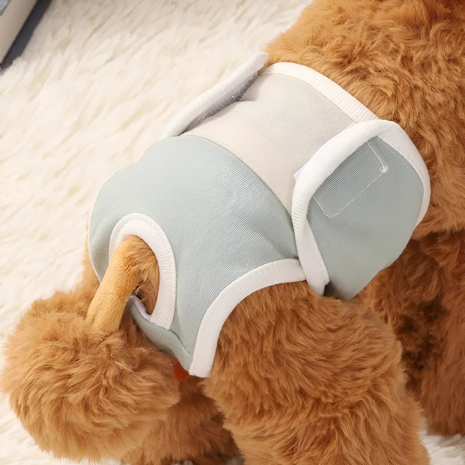 Pure cotton dog safety pants in light blue with elasticated waist, four sizes available