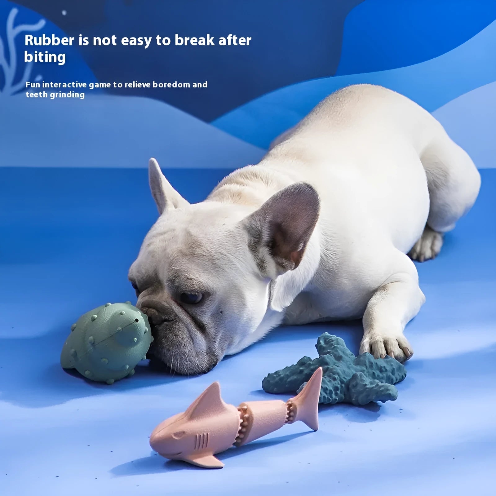 Blue rubber shark dog chew toy on a white background.