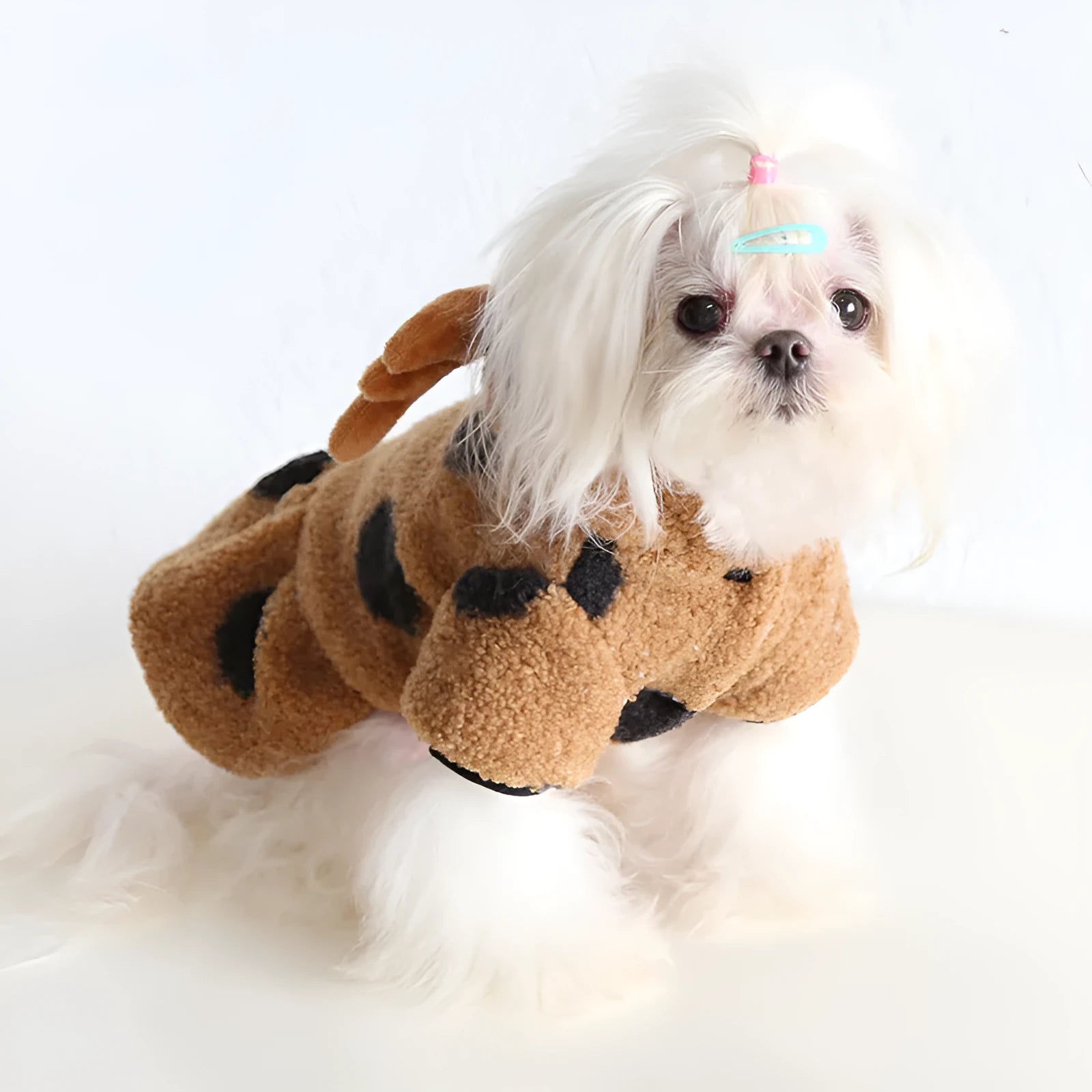 Polka dot pet clothing for dogs and cats in skirt or four-leg styles with five size options