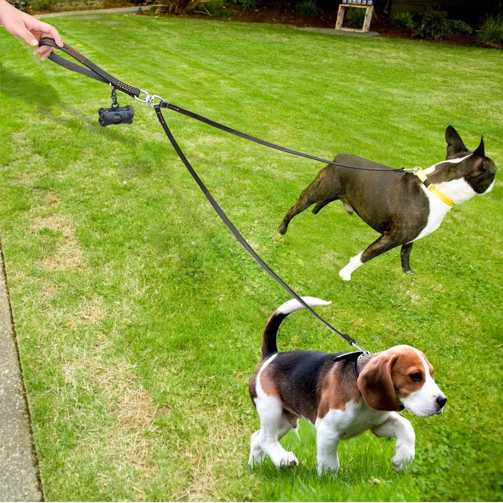 Leather 2-way dog leash in black or brown for walking two dogs hands-free
