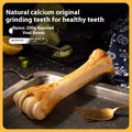 Large roasted ox bone molar chew stick for teething puppies on a plain background.