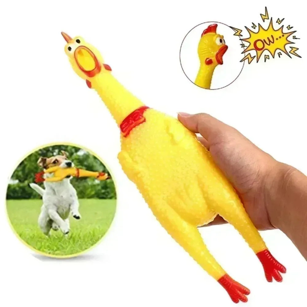 Yellow rubber screaming chicken dog squeak toy with three size options