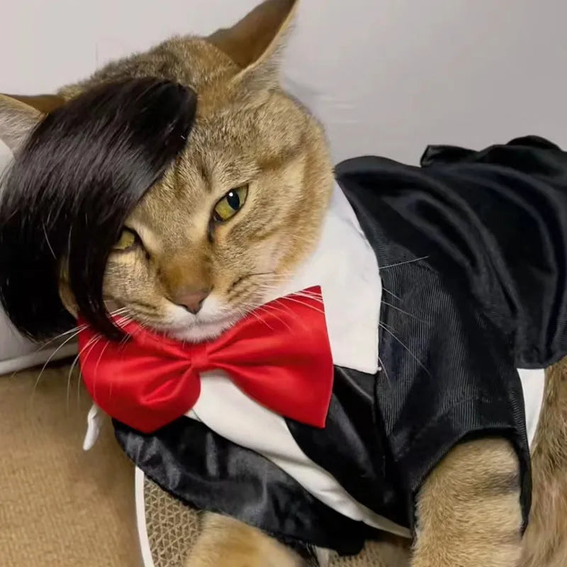 Black polyester imitation braid wig designed for a cat to wear