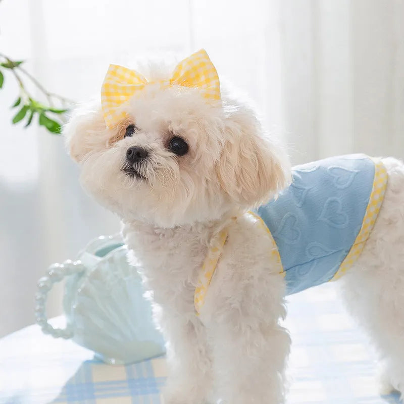 Small dog wearing a blue elastic vest with heart relief texture and bow suspenders.