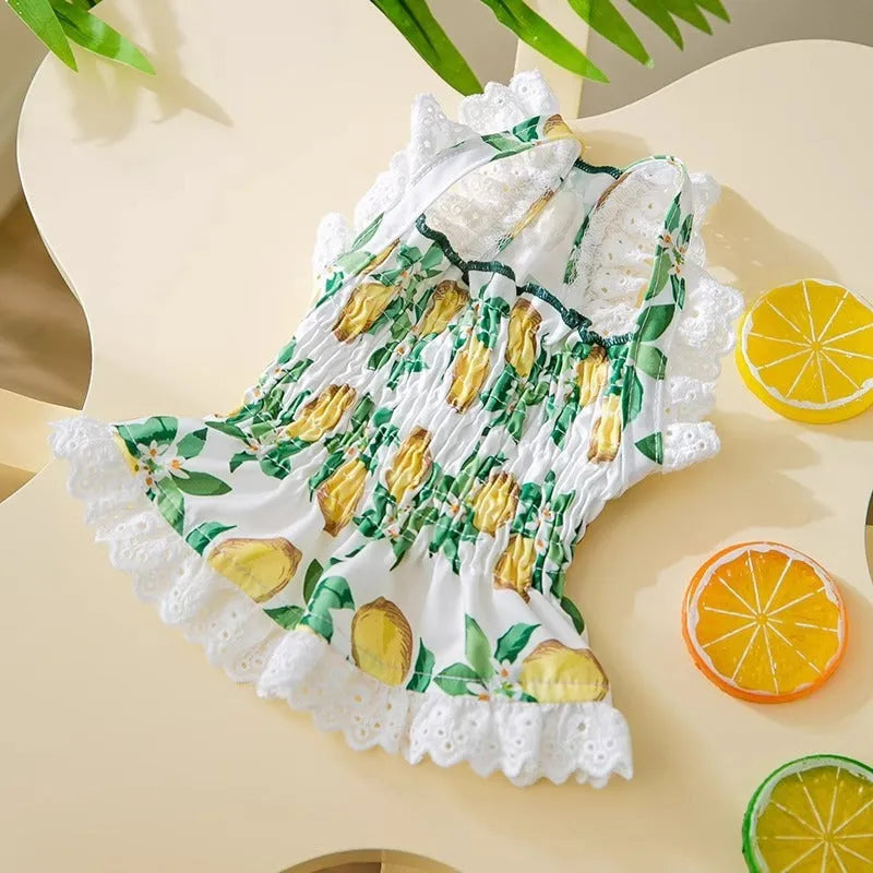 Rock yellow lemon polyester dog skirt with adjustable straps on small dog