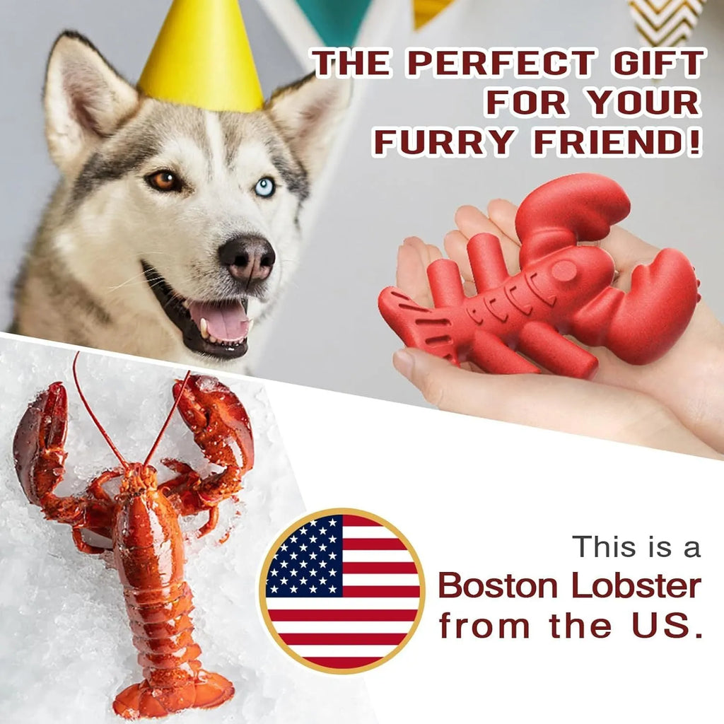Red nylon dog chew bone for large breed aggressive chewers