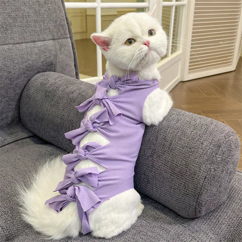 Lace-up cat sterilisation recovery suit in blue, shown on a cat, with back ties and tail hole visible.