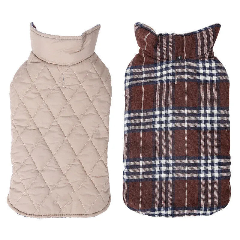 Waterproof reversible lattice pet dog suit jacket in beige on a dog standing outdoors