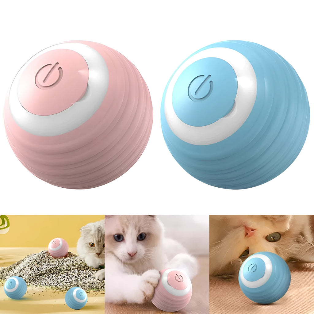 Blue and pink automatic self-moving silicone cat toy ball with charging cable.