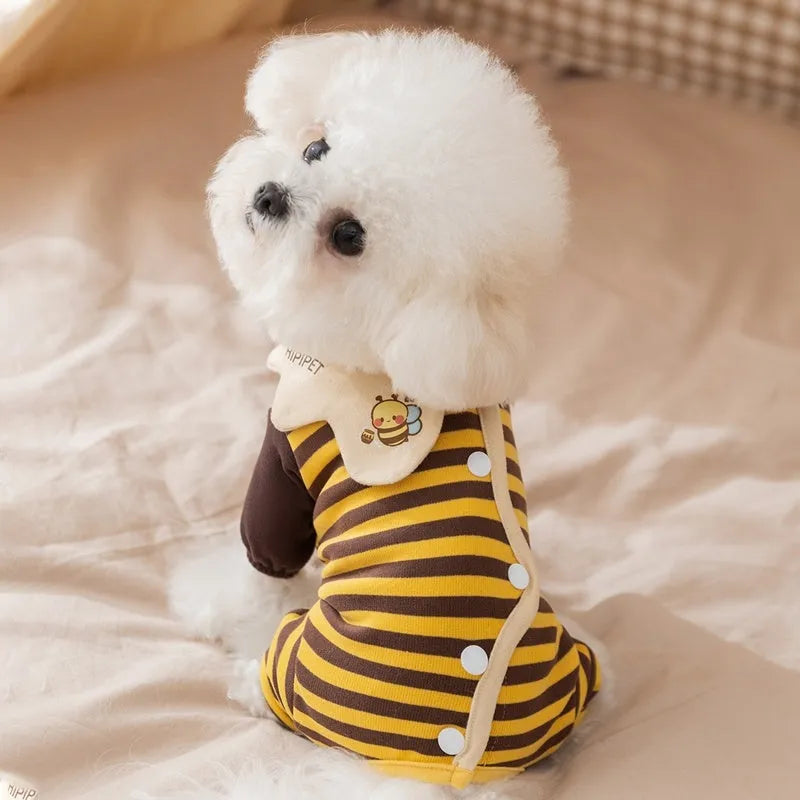 Yellow dog pajamas with bee pattern and lapel on small dog standing indoors