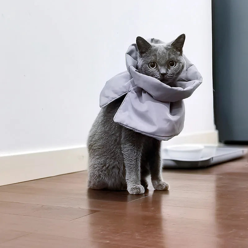 Soft blue adjustable Elizabethan recovery collar for cat on a white background