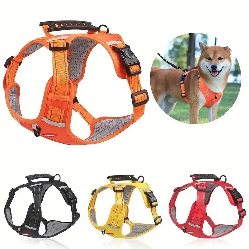 Adjustable polyester dog harness and lead set in multiple colours, shown on a dog, with front-chest attachment ring.