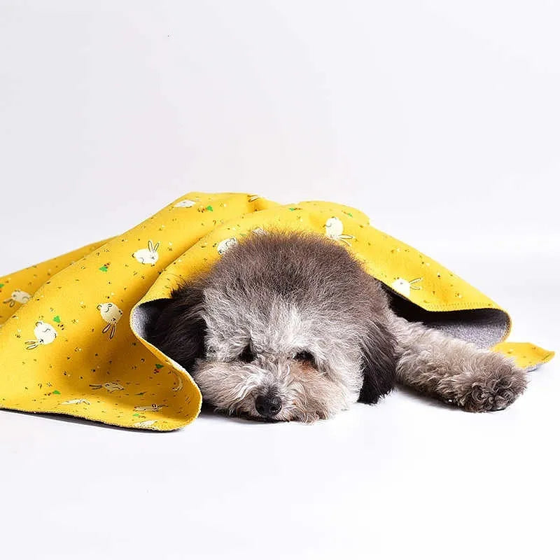 Double-sided cotton velvet pet blanket with dinosaur print, shown in a dog bed.