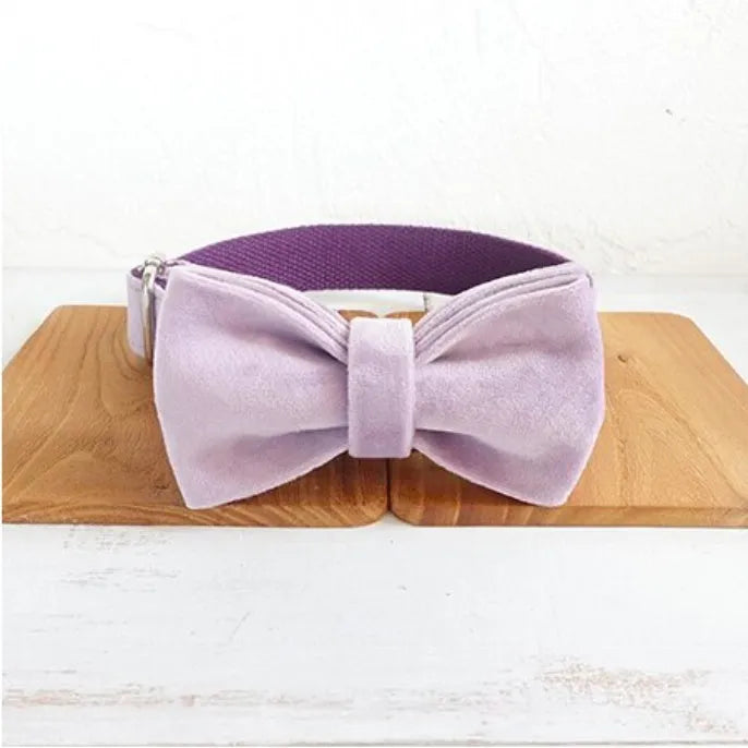 MUTTCO light purple thick velvet dog traction belt set with drawstring, collar, leash and tie in polyester
