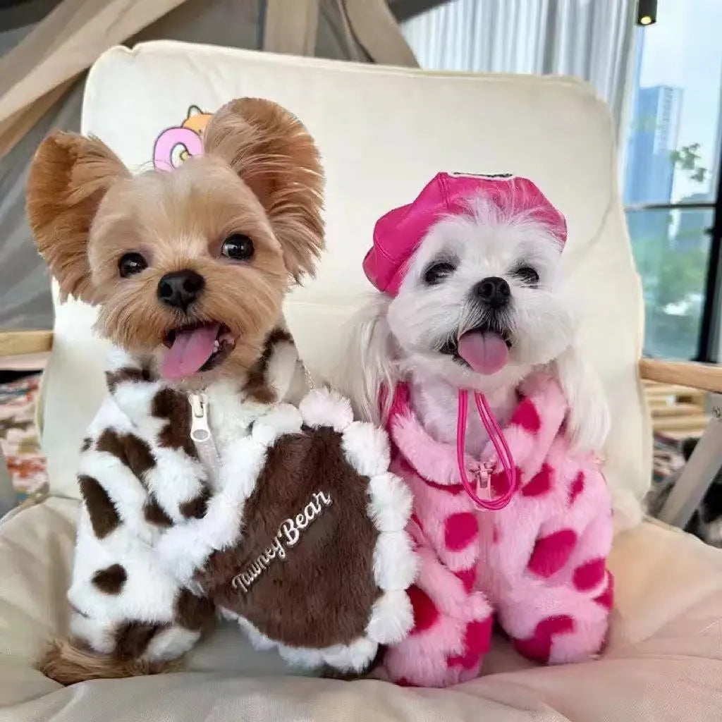 British-style pink polyester warm coat on small white dog showing size fit and design details