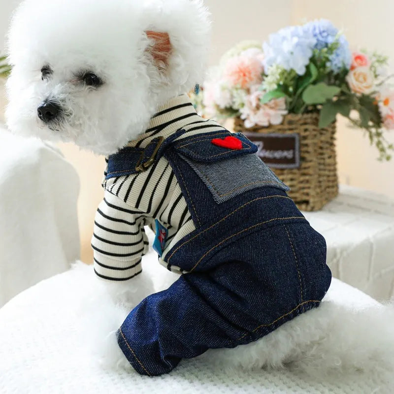 Dog wearing CWQ retro denim four-legged suspender pants in princess style, standing outdoors.