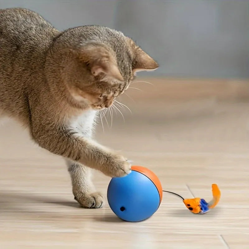 Interactive blue and orange cat toy ball with plush mouse attachment, shown next to a ruler for scale.