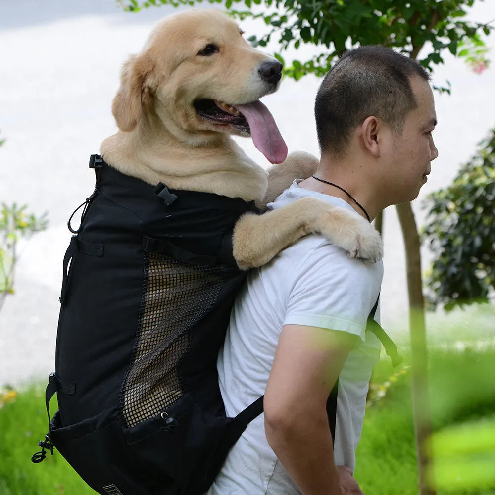 Ventilated pet backpack carrier with mesh breathable strap and safety buckle, polyester, in black, blue, grey or red
