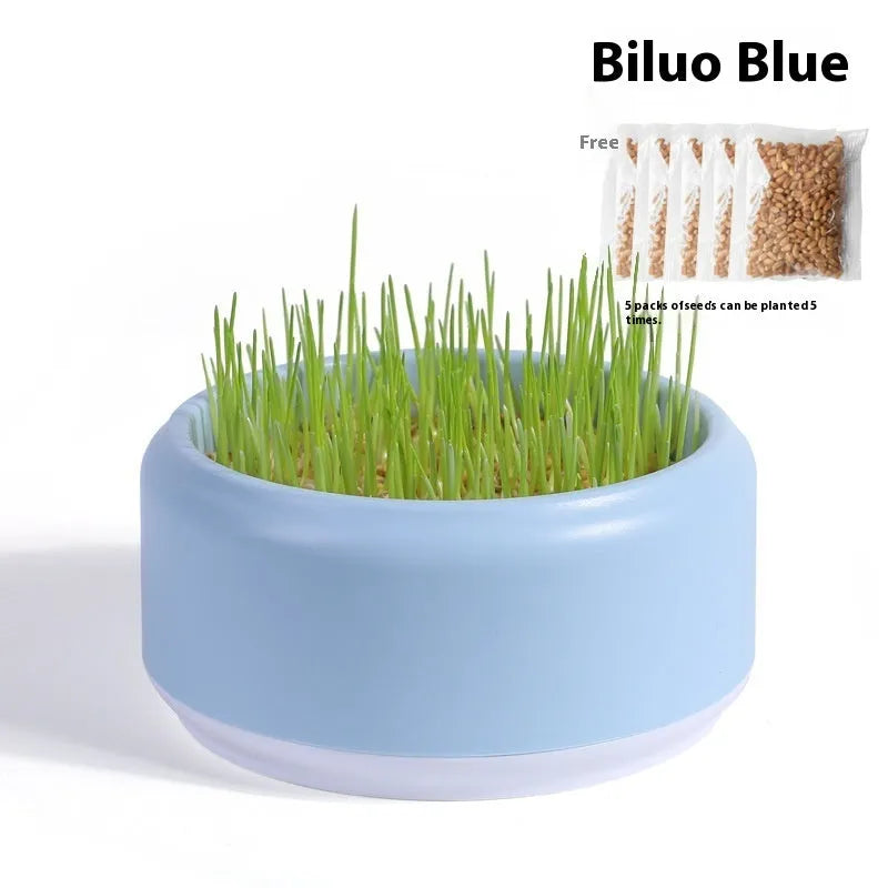 Blue hydroponic cat grass kit with planter cup and five packs of seeds.