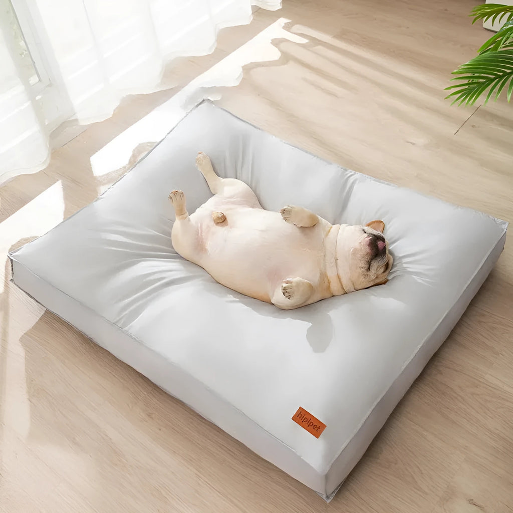 Waterproof dog bed mat in grey with removable washable cover, PP cotton padding, and non-slip bottom, size S to 2XL