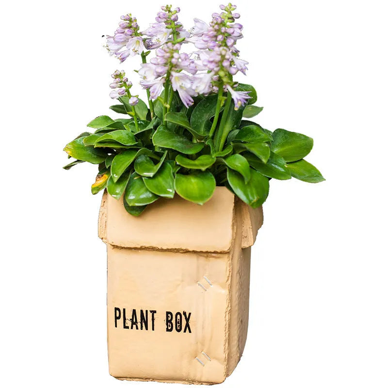 Cement flower pot with brown paper box design showing perforated drainage base