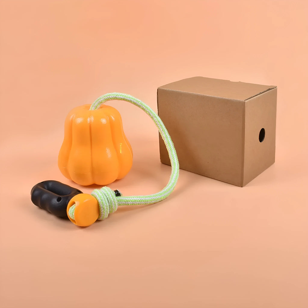 Orange pumpkin-shaped plastic dog toy with an attached rope for fetch and tug-of-war.