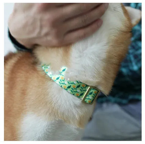 Flower patterned nylon pet collar with metal buckle, shown in Hanada colour on a size chart.