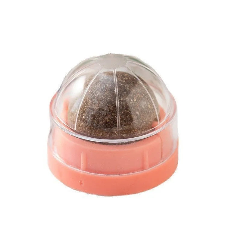 Colourful plastic catnip ball toy for molar teeth cleaning and bite-resistant play.