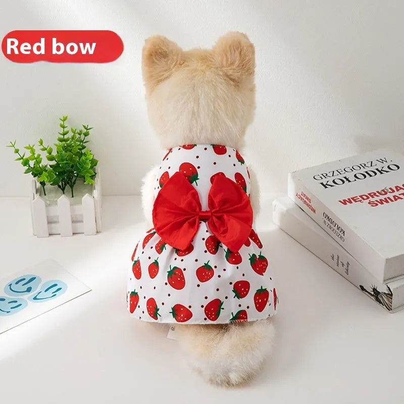 Orange bow floral butterfly pattern polyester dress on a small dog