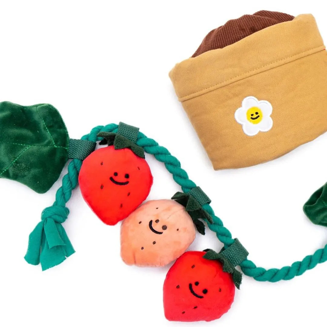 Strawberry potted plant set plush pull toy with hidden food compartment for pets