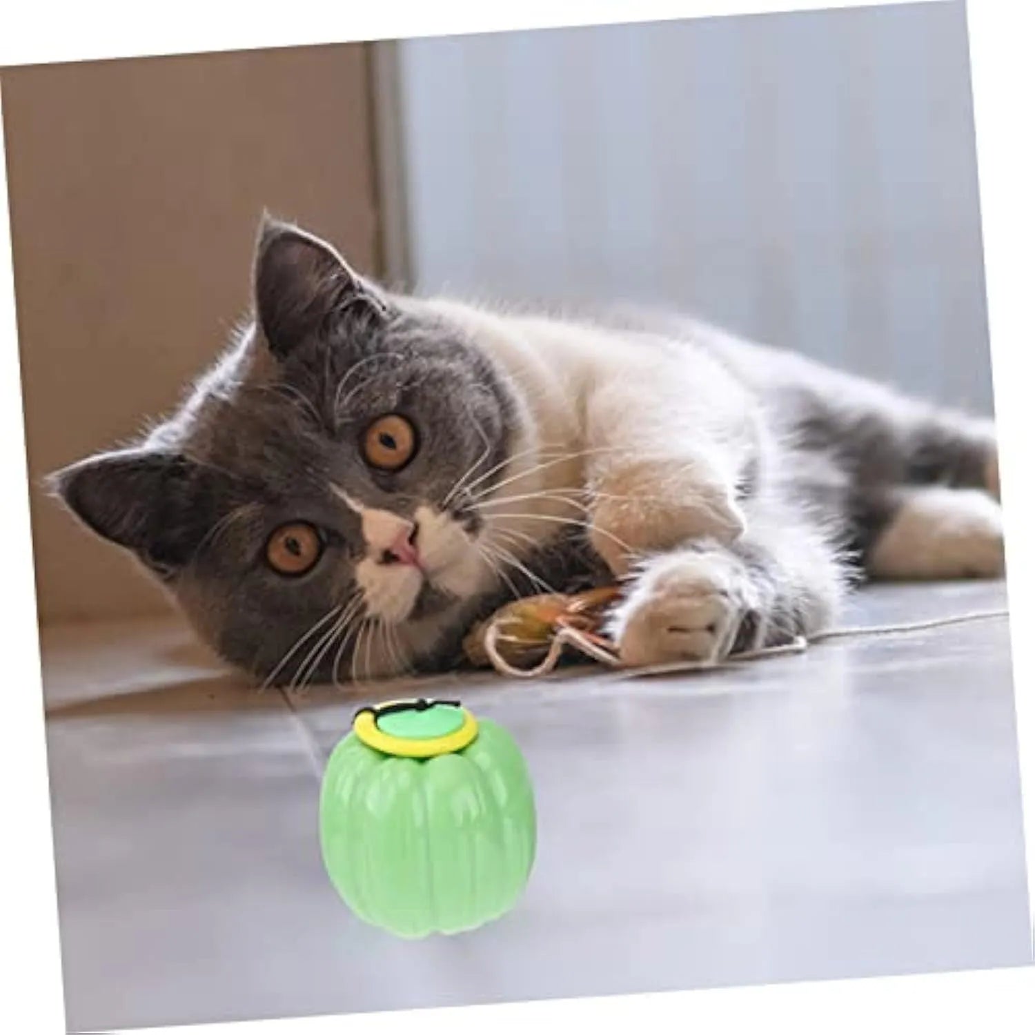 Pumpkin-shaped dog chew ball with squeaker for small dogs in green, orange and yellow colours