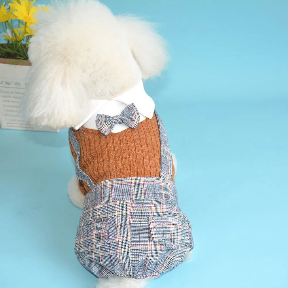 Cotton dog shirt suit in dark blue or orange colour for small to extra-large pets