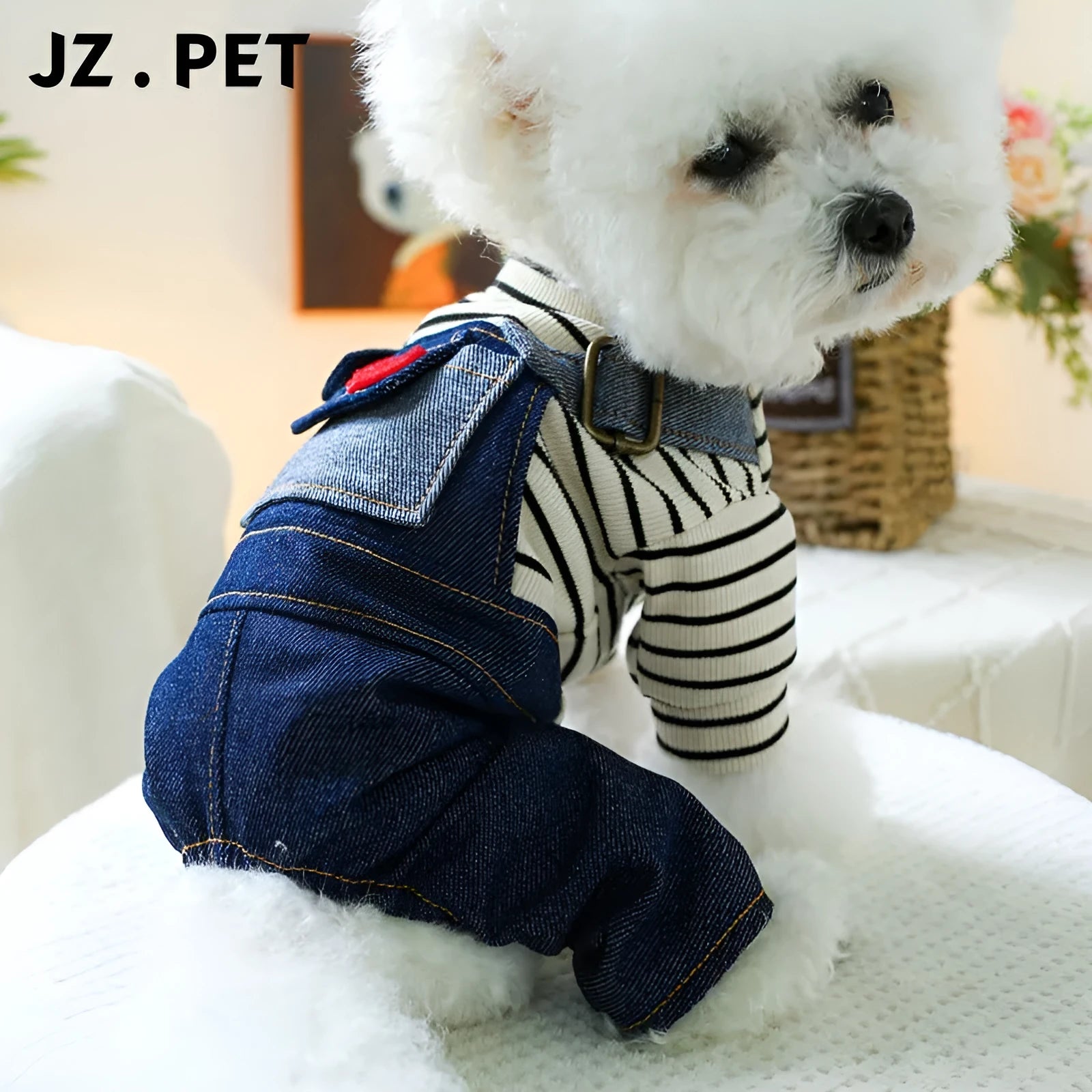 Dog wearing CWQ retro denim four-legged suspender pants in princess style, standing outdoors.