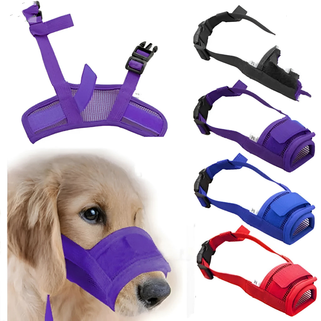 Adjustable plastic dog muzzle in basket design available in multiple colours for safety and behavioural control