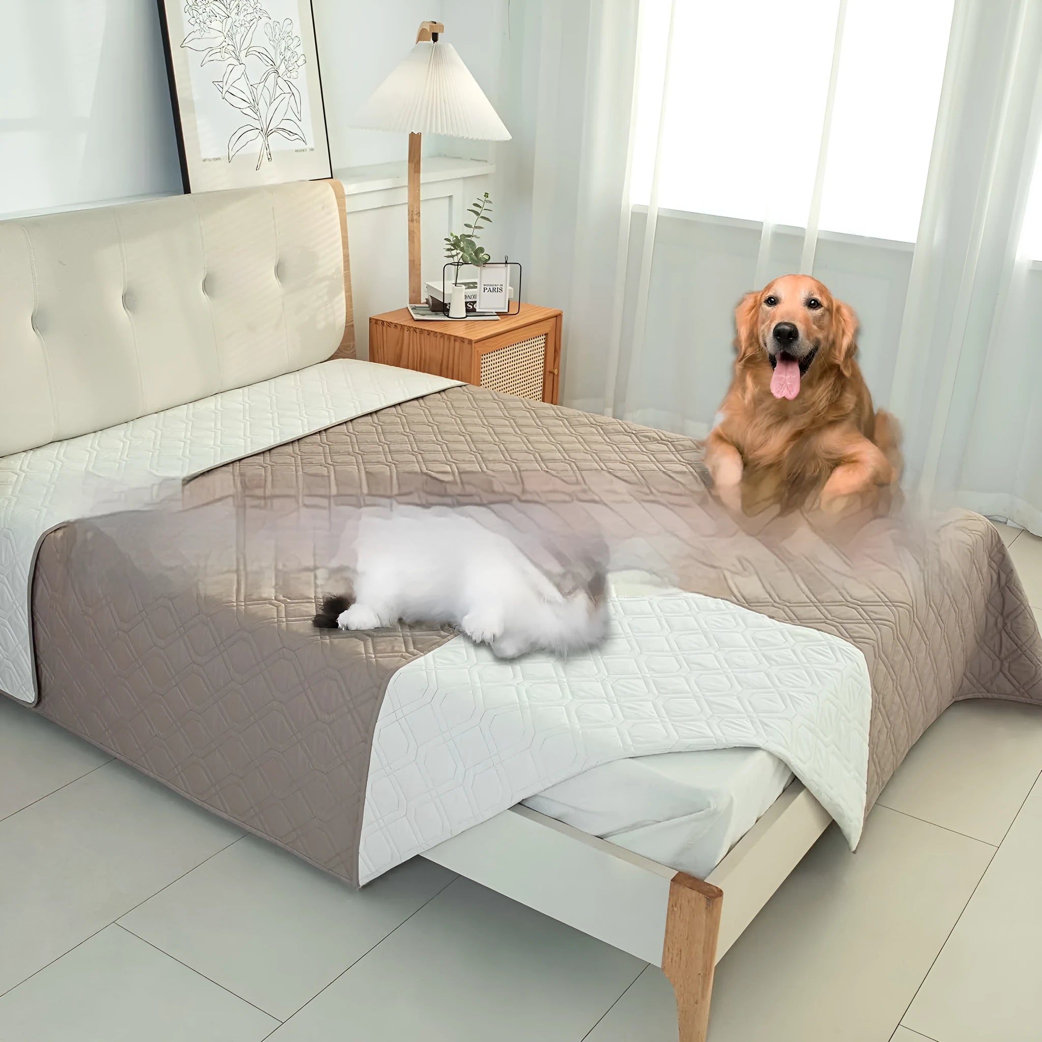 Double-sided waterproof pet sofa cushion with contrast colour panels shown in dark grey and light grey