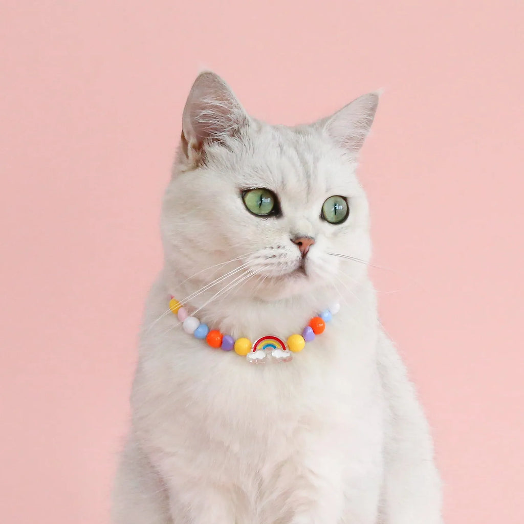 Colourful plastic bead cat necklace on a white background, showing peach, rainbow, and small flower pattern options.