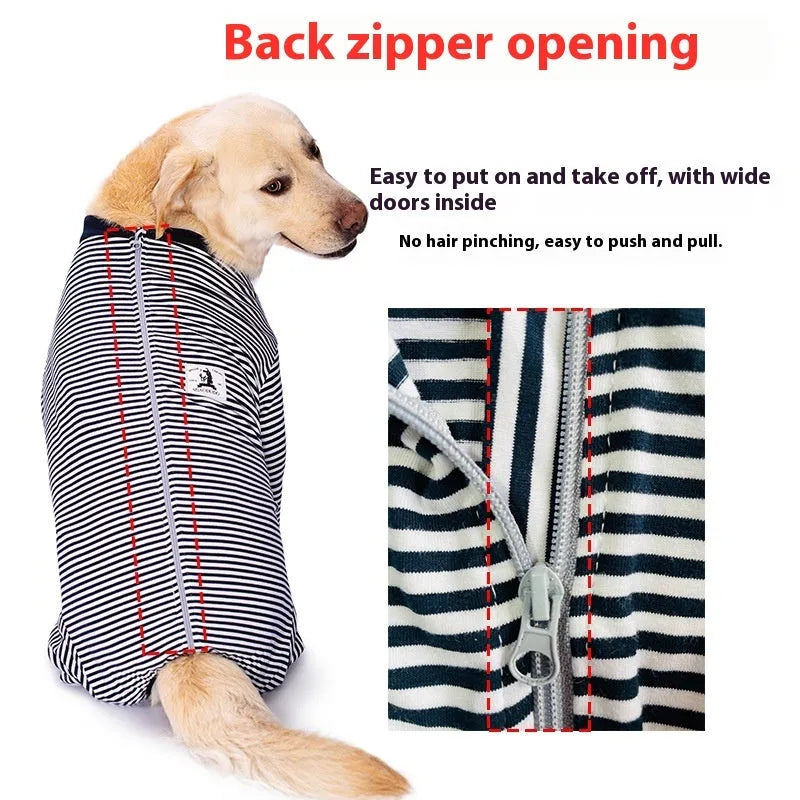 Striped four-legged dog shirt on golden retriever in sky blue colour